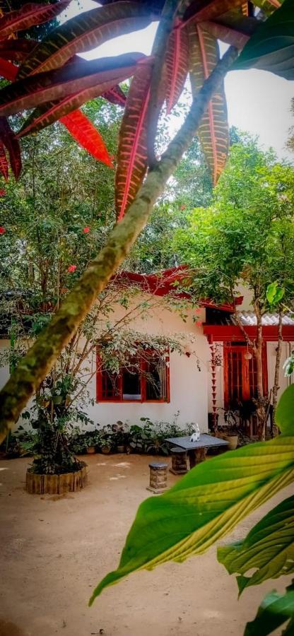 Ella Jungle Inn Homestay And Tree House Exterior photo