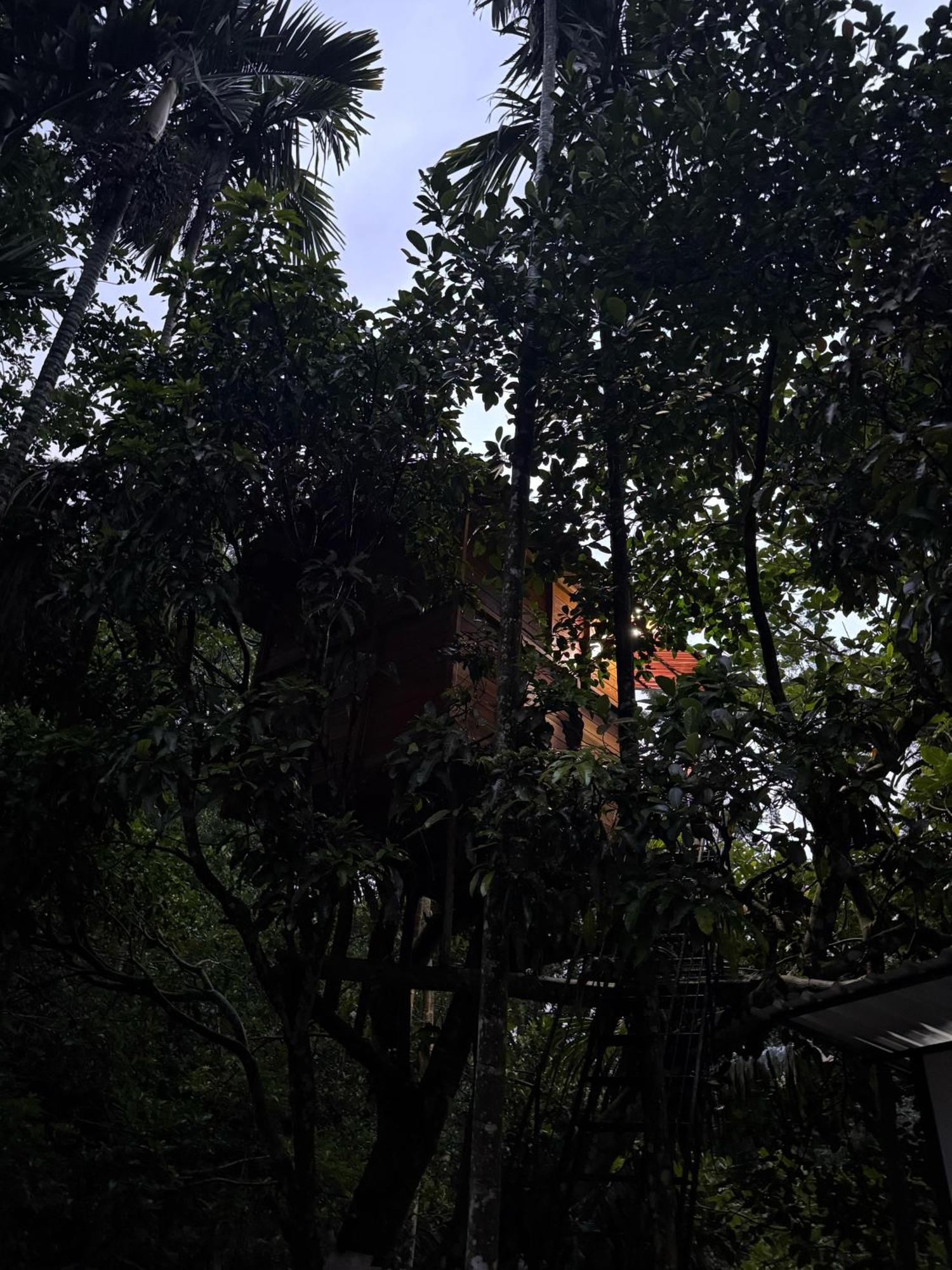 Ella Jungle Inn Homestay And Tree House Exterior photo