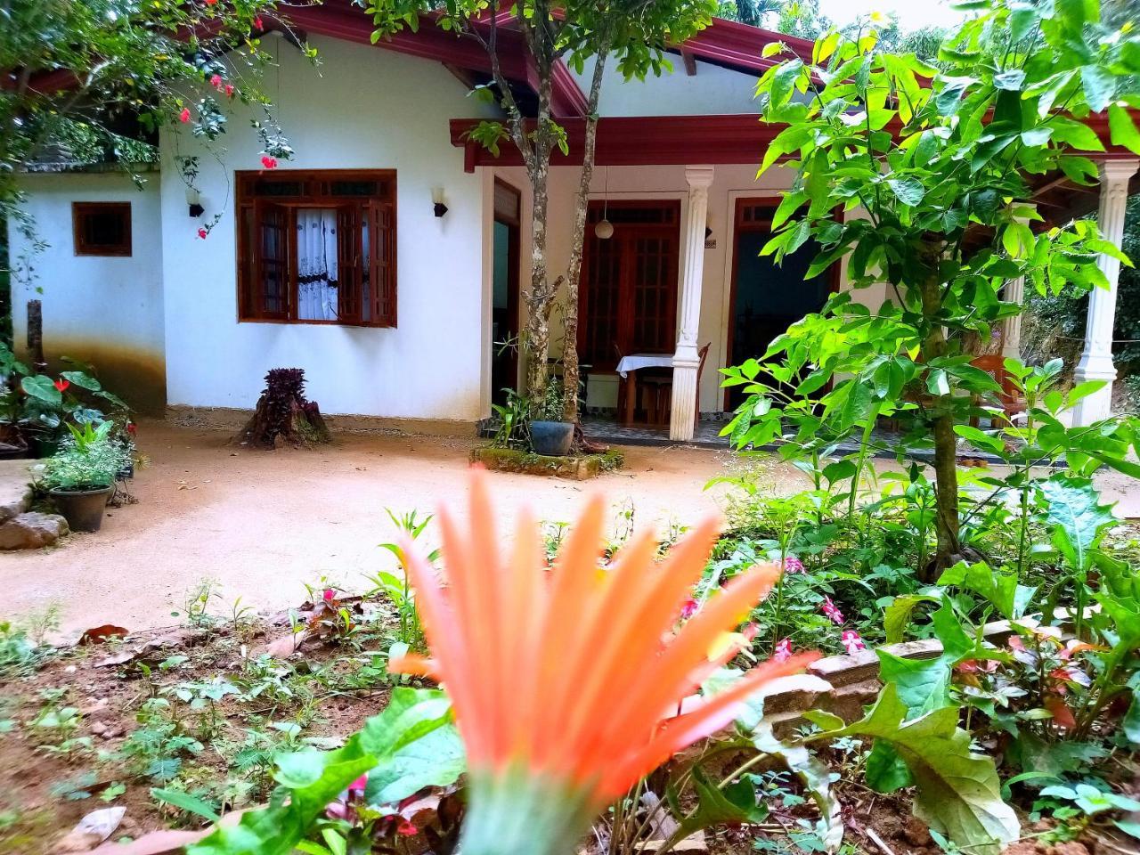 Ella Jungle Inn Homestay And Tree House Exterior photo